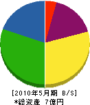シモカワ 貸借対照表 2010年5月期