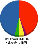上山 貸借対照表 2012年6月期