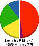 日本電気管理者協会 貸借対照表 2011年7月期