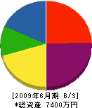 亀井鐵工 貸借対照表 2009年6月期
