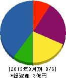 塚竜 貸借対照表 2013年3月期