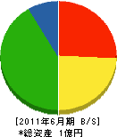 田所商会 貸借対照表 2011年6月期