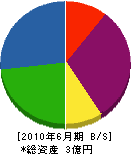 石井電気通信 貸借対照表 2010年6月期