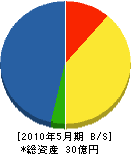 勝間田建設 貸借対照表 2010年5月期