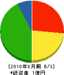 田所商会 貸借対照表 2010年6月期