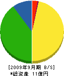 片山商店 貸借対照表 2009年9月期