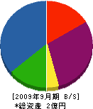 山川設備 貸借対照表 2009年9月期