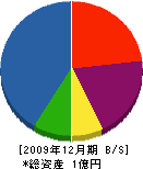 菱沼電気設備工事 貸借対照表 2009年12月期