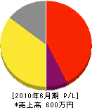 龍ケ崎塗装 損益計算書 2010年6月期