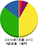 和田塗装工業 貸借対照表 2010年7月期