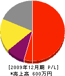 野上鉄工所 損益計算書 2009年12月期
