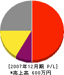 日南本組 損益計算書 2007年12月期