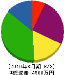 粟飯原電気 貸借対照表 2010年6月期