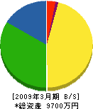 宮崎電工 貸借対照表 2009年3月期