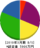中高電業 貸借対照表 2010年3月期