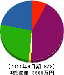 藤川設備 貸借対照表 2011年9月期