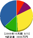 奥久組 貸借対照表 2009年10月期