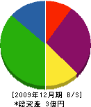 斎藤板金 貸借対照表 2009年12月期
