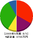 松井化成 貸借対照表 2009年9月期