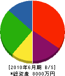 東川設備 貸借対照表 2010年6月期