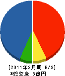 須走総合企画 貸借対照表 2011年3月期