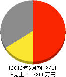 太田ペイント塗装 損益計算書 2012年6月期