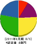 福島組 貸借対照表 2011年6月期