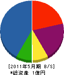 沢田工業 貸借対照表 2011年5月期