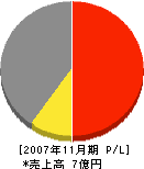 飛田エンジニアリング 損益計算書 2007年11月期