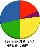 昭栄電気 貸借対照表 2010年6月期