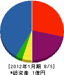 横井商店 貸借対照表 2012年1月期