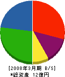須藤電機製作所 貸借対照表 2008年3月期