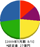 佐山製作所 貸借対照表 2009年5月期