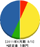 斉藤建設 貸借対照表 2011年6月期