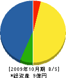 天水組 貸借対照表 2009年10月期