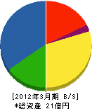 沖縄電機工業 貸借対照表 2012年3月期
