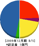 佐藤工営 貸借対照表 2009年12月期