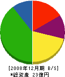 渡辺工務店 貸借対照表 2008年12月期