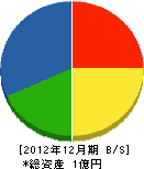 大川建設 貸借対照表 2012年12月期