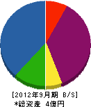 島田電機舎 貸借対照表 2012年9月期