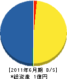 島根県ヘルス工業 貸借対照表 2011年6月期