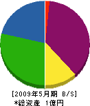 石川製作所 貸借対照表 2009年5月期