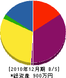 白珠工業 貸借対照表 2010年12月期
