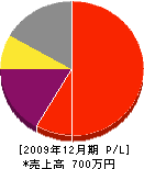 大竹二晴 損益計算書 2009年12月期