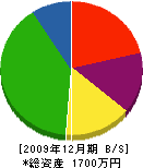 藤デザイン塗装店 貸借対照表 2009年12月期