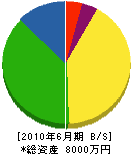 藤津産業 貸借対照表 2010年6月期