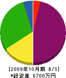 マルウチ 貸借対照表 2009年10月期