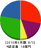 藤島建設 貸借対照表 2010年6月期