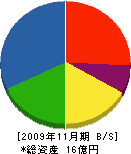 アーチ電工 貸借対照表 2009年11月期