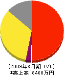 大日本清掃 損益計算書 2009年3月期